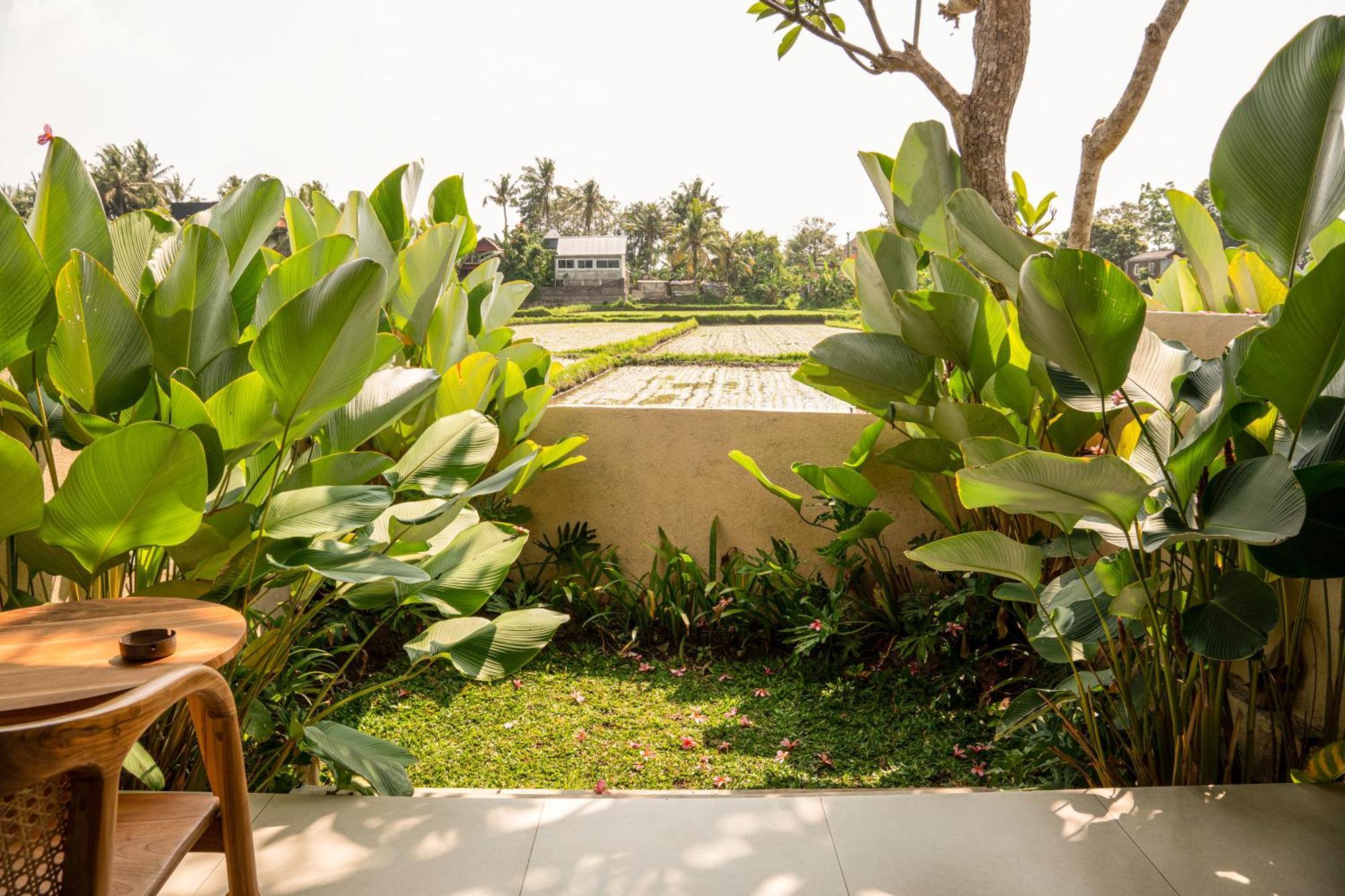 Tut Winten Villa Ubud Екстер'єр фото